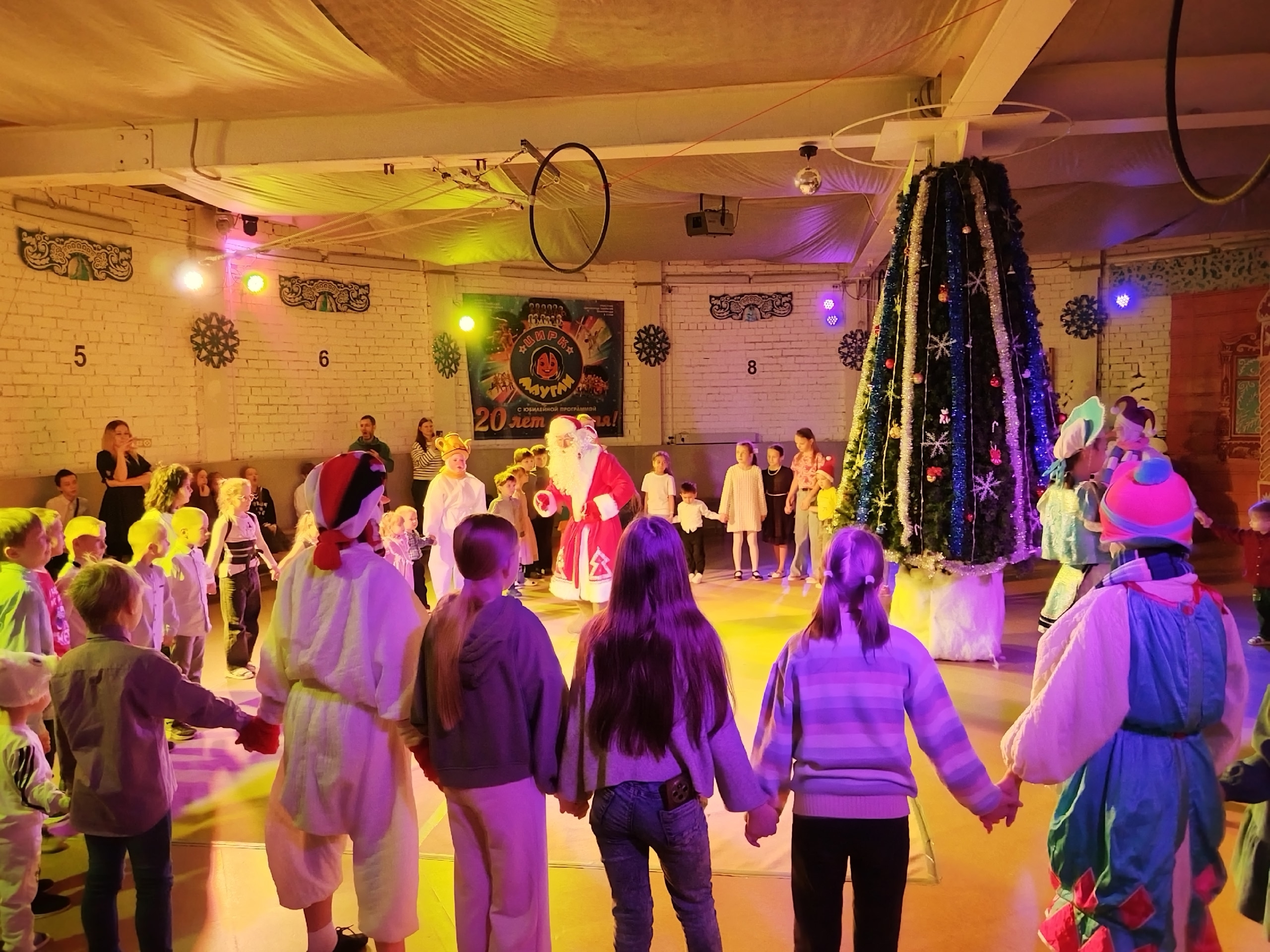 Настала жаркая пора новогодних елок 