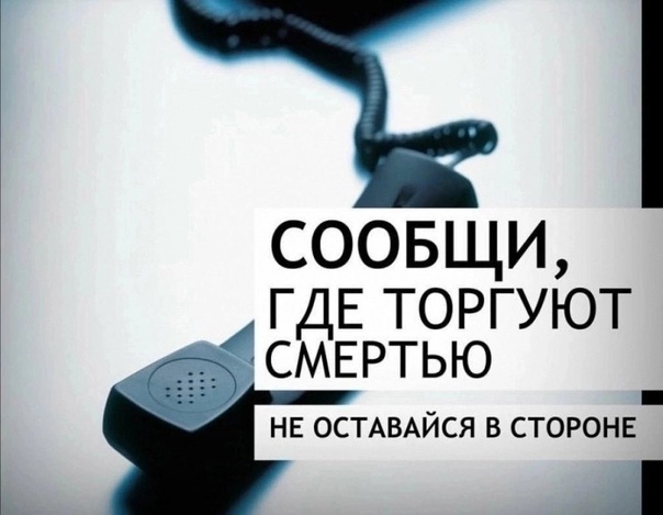 В Вологодской области стартует ежегодная Общероссийская акция «Сообщи, где торгуют смертью»