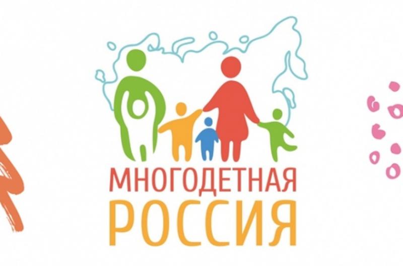 Онлайн-конференция, посвященная Всероссийскому проекту "Многодетная Россия"