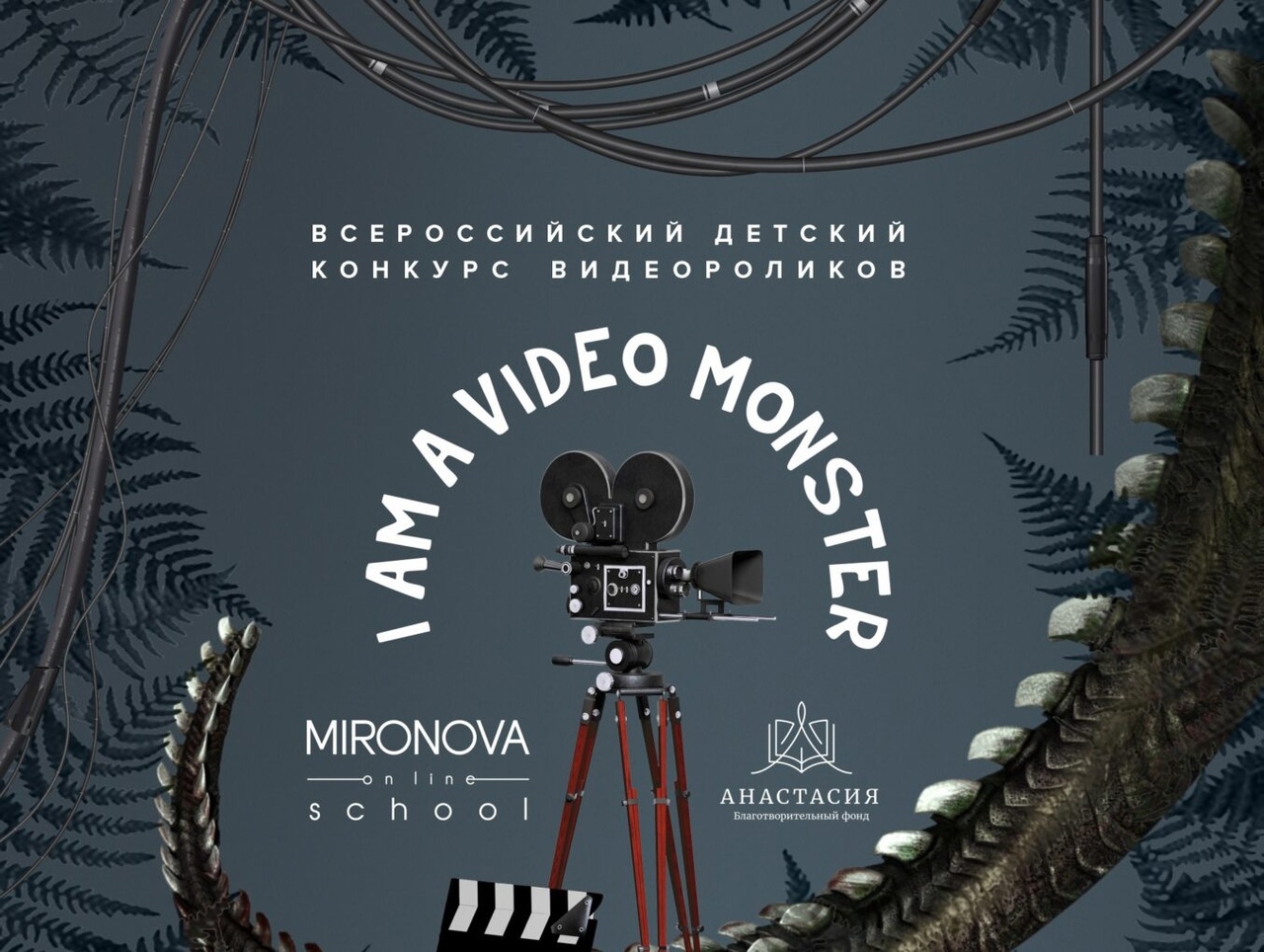 Благотворительный Фонд «Анастсия» приглашает к участию в Конкурсе видеороликов